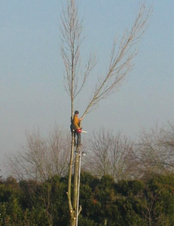 Nos réalisations Levaillant Paysage